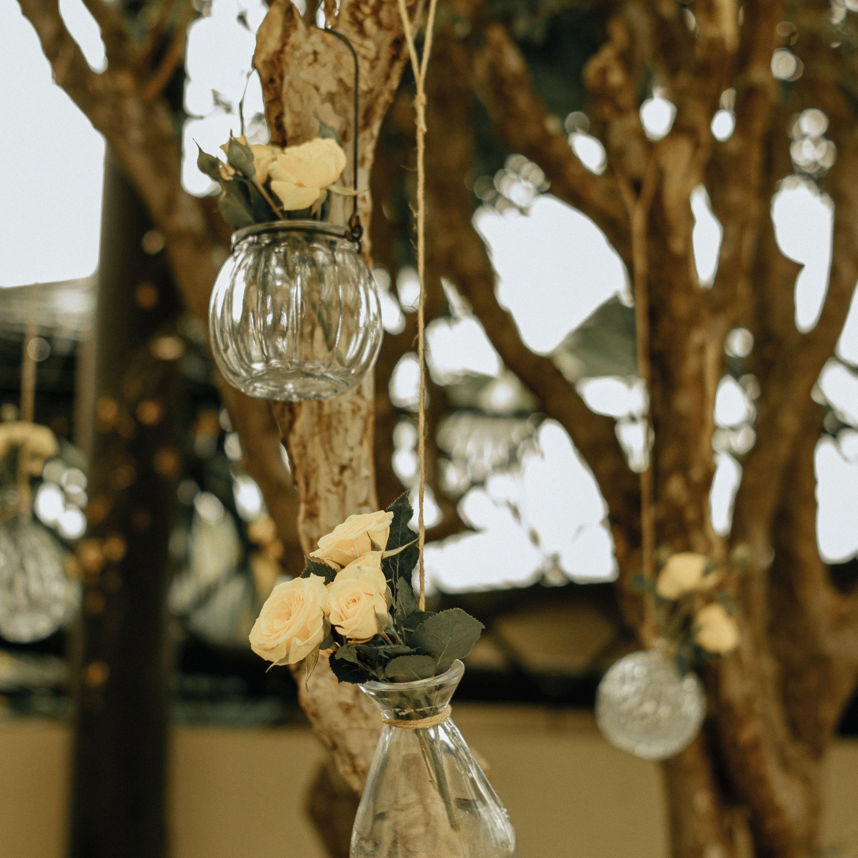 Décoration Extérieure