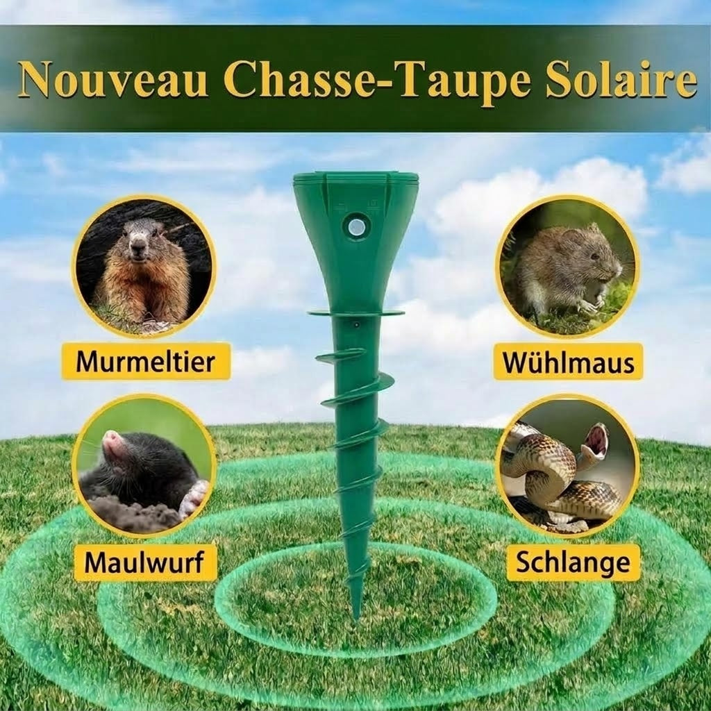 ChaseRiff