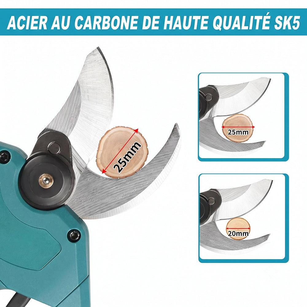 Cuttorix