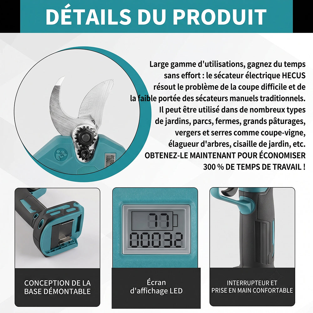 Cuttorix
