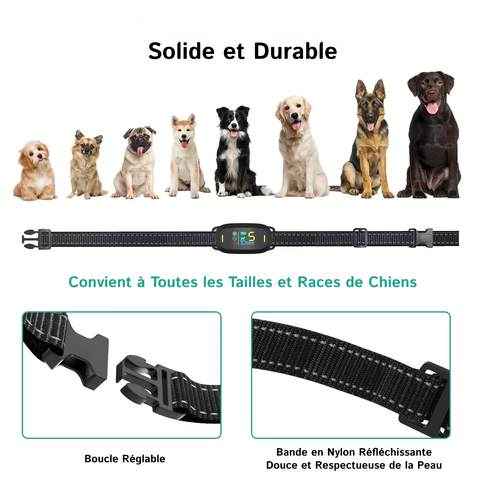 DogConny