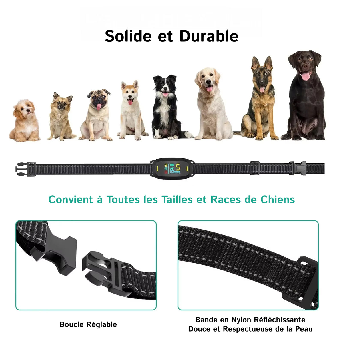 DogConny