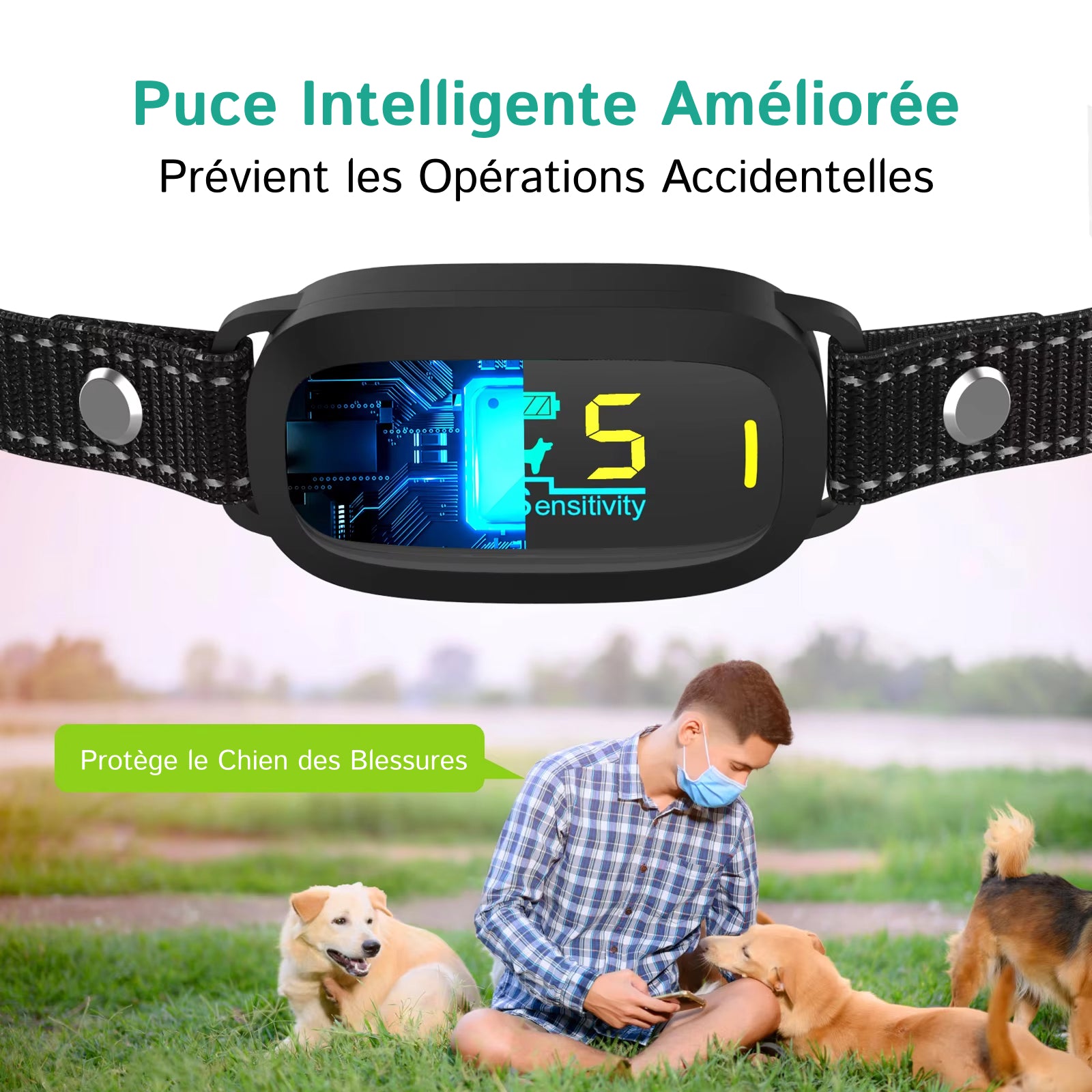 DogConny