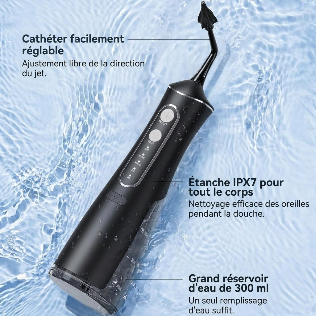 EarmBlis v2