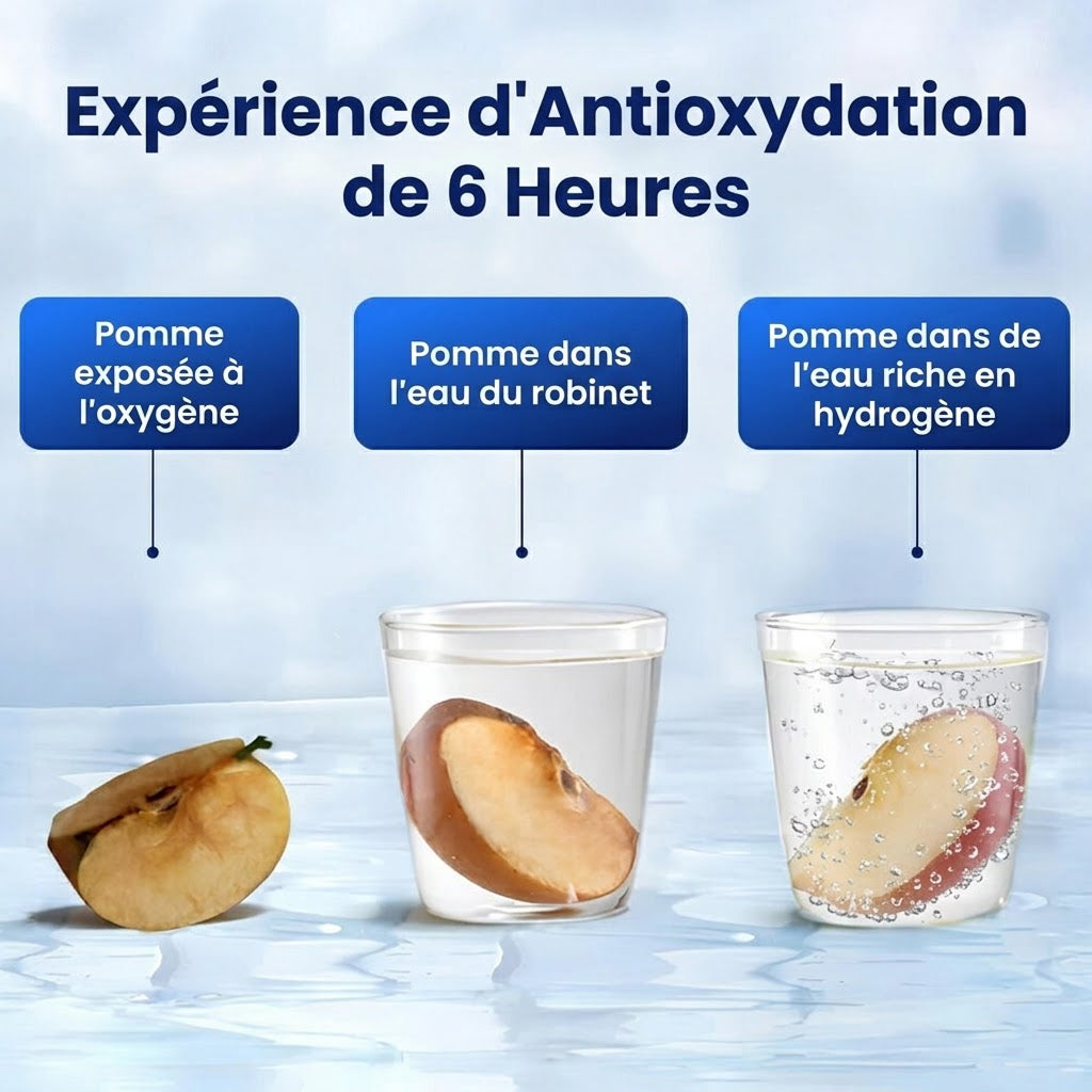 Hydrovia