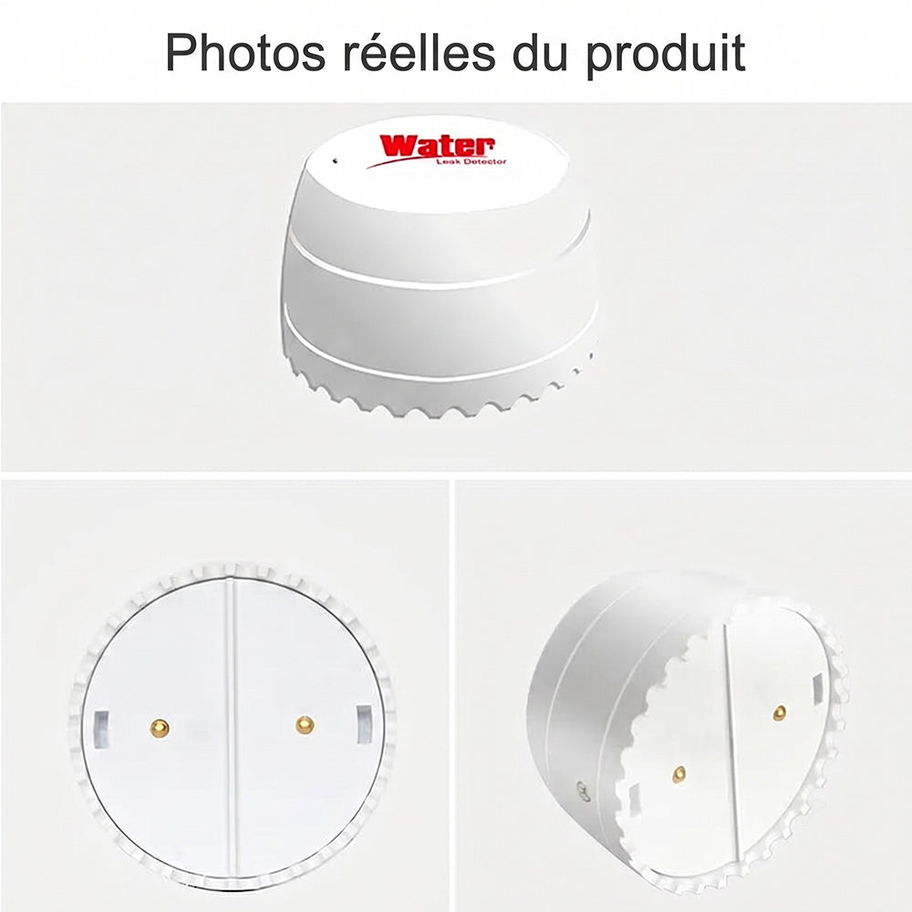 LiquiFind