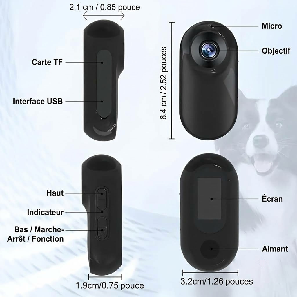 MeowyCam