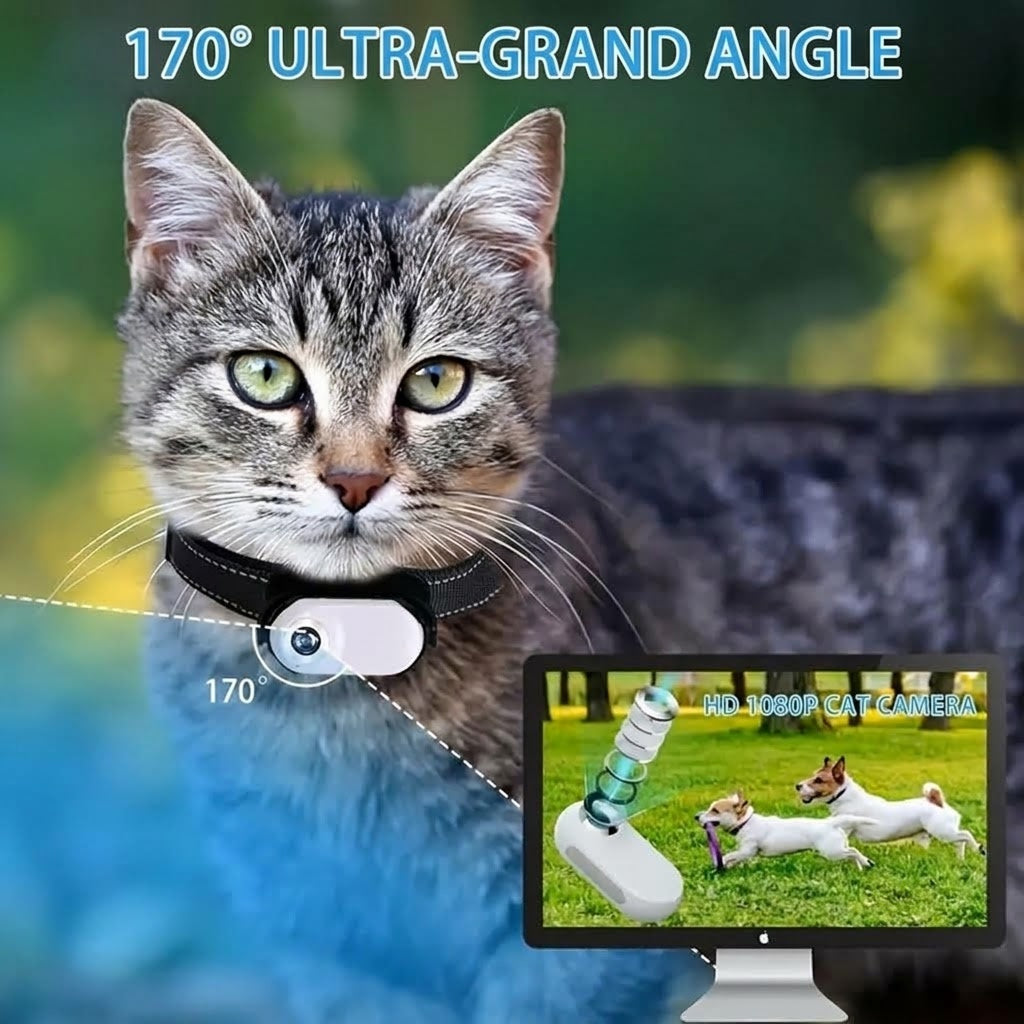 MeowyCam