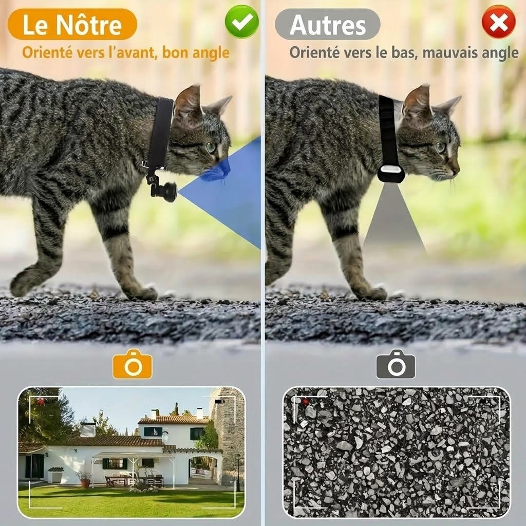MeowyCam