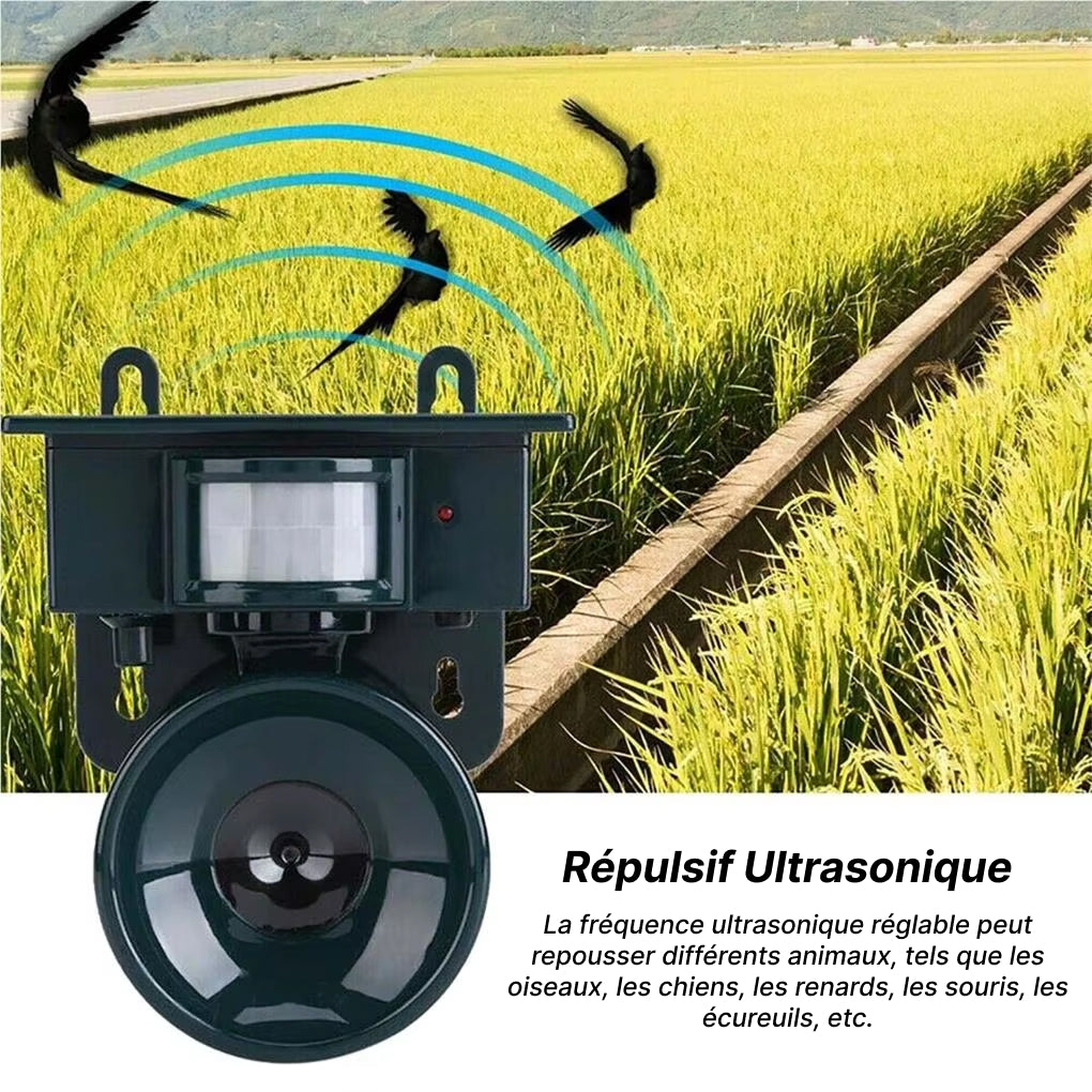 RepilBird