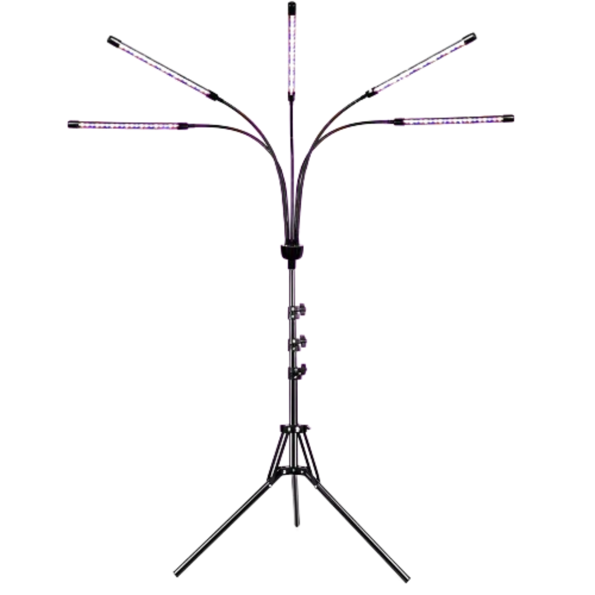 Soleepunk