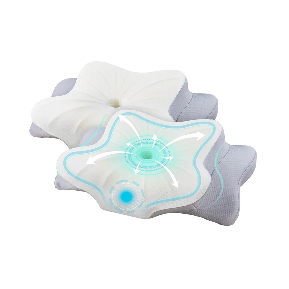 Suttera